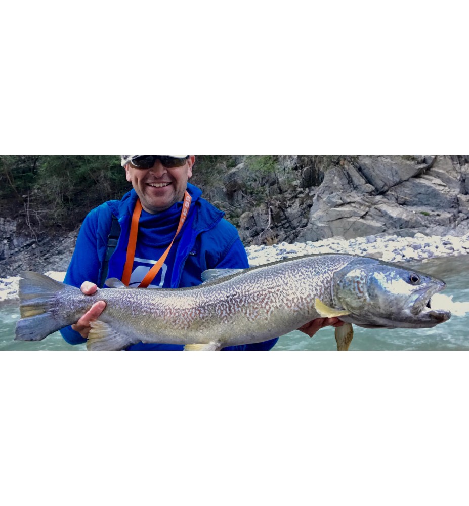 Fly fishing in the Dolomites