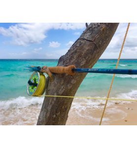 ECHO Boost BLUE ECHO Boost BLUE