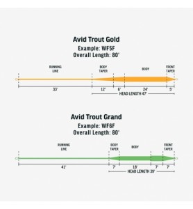 Rio Avid Gold Fly Line