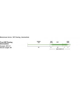 Rio Mainstream Clear Intermediate Fliegenschnur