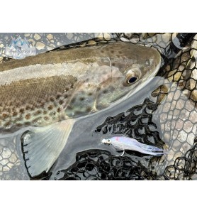 Barbless Jiggy Fat Minnow