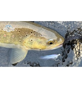 Barbless Jiggy Fat Minnow