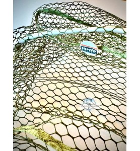 Iarde Concavenet guadino