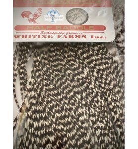 WHITING 1/2 Saddle Bronze Grizzly WHITING 1/2 Saddle Bronze Grizzly