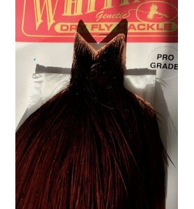 Whiting Pro Grade Coachman Brown