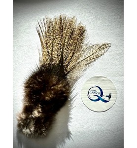 Quality Flies Coq de Leon #1 Quality Flies Coq de Leon #1