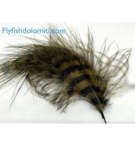 Veniard Barred Marabou