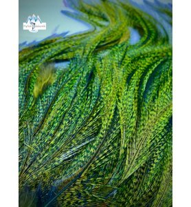 Whiting CDL Pardo Euro Nymph Tailing Pack