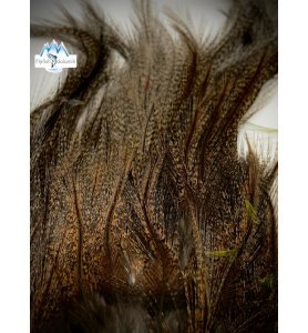 Whiting CDL Pardo Euro Nymph Tailing Pack