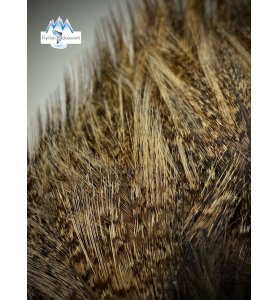 Whiting CDL Pardo Euro Nymph Tailing Pack