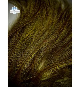 Whiting CDL Pardo Euro Nymph Tailing Pack