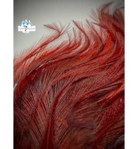 Whiting CDL Pardo Euro Nymph Tailing Pack