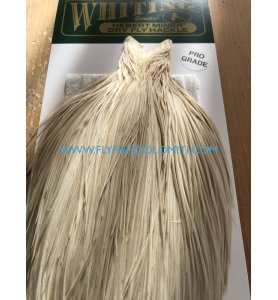 Whiting Herbert Pro Grade Cream