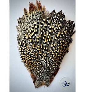 Quality Flies Jungle Cock Cape Silver Quality Flies Jungle Cock Cape Silver