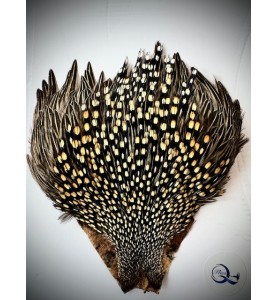 Quality Flies Jungle Cock Cape Gold Quality Flies Jungle Cock Cape Gold