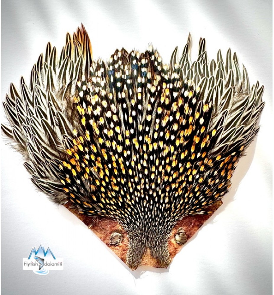 Quality Flies Jungle Cock Cape Gold Quality Flies Jungle Cock Cape Gold