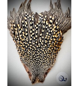 Quality Flies Jungle Cock Cape Gold