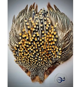 Quality Flies Jungle Cock Cape Silver