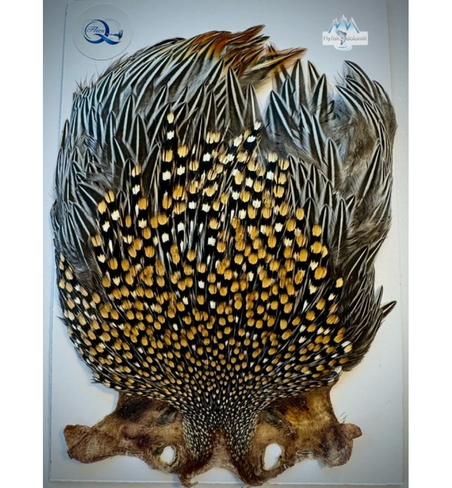 Quality Flies Jungle Cock Cape Gold 