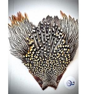 Quality Flies Jungle Cock Cape Silver