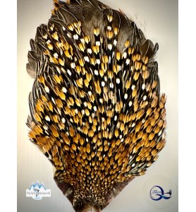 Quality Flies Jungle Cock Cape Bronze