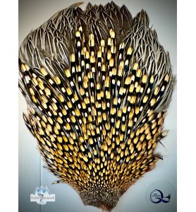 Quality Flies Jungle Cock Cape Gold