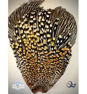 Quality Flies Jungle Cock Cape Silver