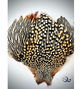 Quality Flies Jungle Cock Cape Gold