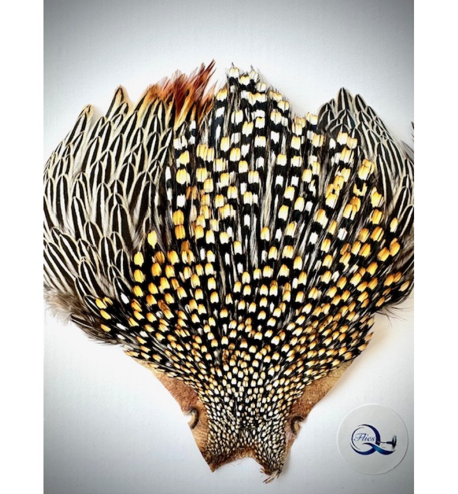 Quality Flies Jungle Cock Cape Gold Quality Flies Jungle Cock Cape Gold