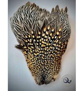 Quality Flies Jungle Cock Cape Silver Quality Flies Jungle Cock Cape Silver