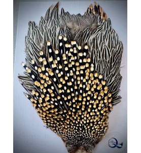 Quality Flies Jungle Cock Cape Gold