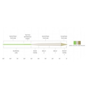 Scientific Anglers Amplitude Textured Trout Standard Coda