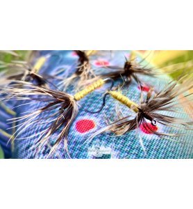 Tenkara Professional Deijī no hana デイジーの花