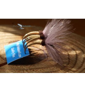 FRANCO PILLER KEBARI