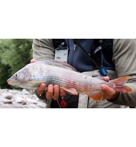 Smith Creek Middle Fork Fly Patch Smith Creek Middle Fork Fly Patch