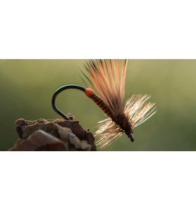 Ahrex FW503 Dry Fly Light