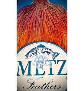 Metz Rooster neck #3 Brown Natural Metz Rooster neck #3 Brown Natural