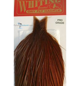 Whiting Dry Fly Hackle Prograde Brown