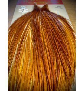 Whiting Pro Grade Medium Ginger