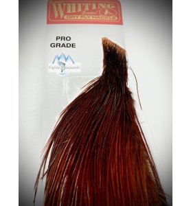 Whiting Pro Grade 1/2 Cape White Dyed Coachman Brown Whiting Pro Grade 1/2 Cape White Dyed Coachman Brown