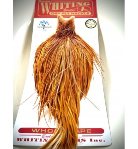 Whiting Silver Cape Medium Ginger Whiting Silver Cape Medium Ginger