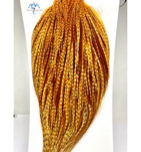 Whiting Pro Grade Barred Dark Ginger