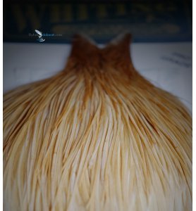 Whiting Pro Grade Herbert Miner: Light Ginger