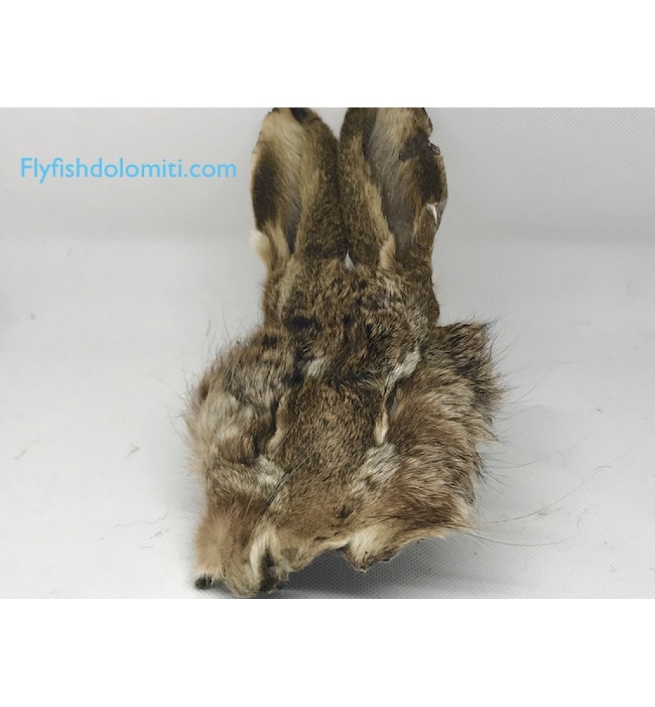 Veniard Hare Mask