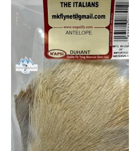Wapsi Antelope Wapsi Antelope