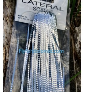 HEDRON Lateral Scale