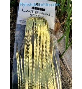 HEDRON Lateral Scale