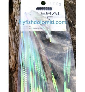 HEDRON Lateral Scale