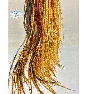 Whiting 1/2 Saddle Bronze Barred Dark Ginger Whiting 1/2 Saddle Bronze Barred Dark Ginger