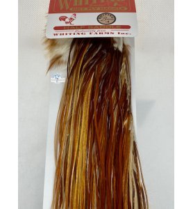 Whiting 1/2 Saddle Bronze Medium Ginger Whiting 1/2 Saddle Bronze Medium Ginger